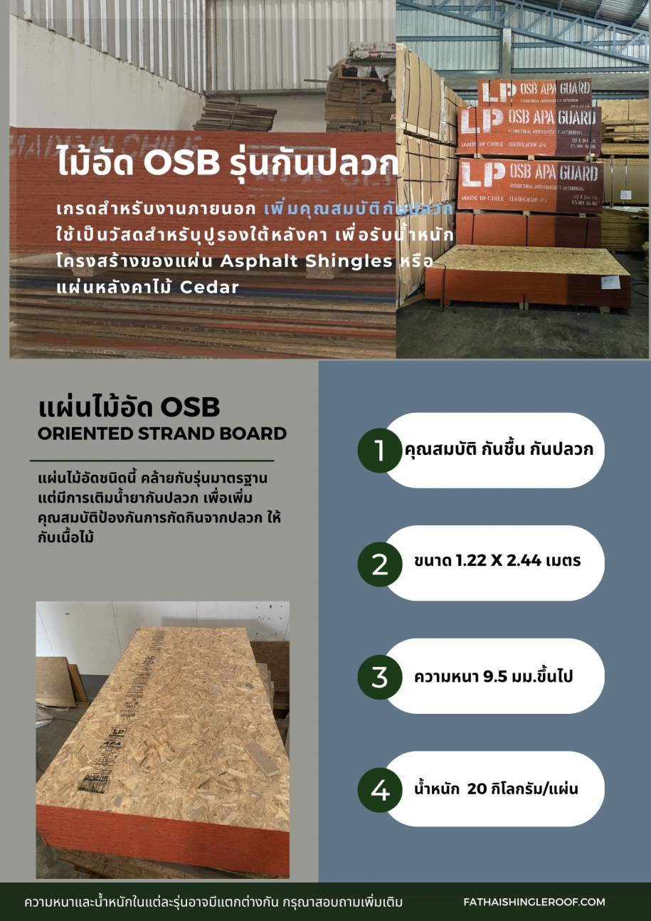 ไม้อัด OSB รุ่นกันปลวก